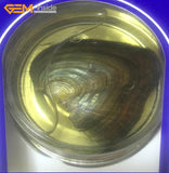 Exquisite fashion Love Wish Pearl Kit Heart Cage chain Necklace 17 "Gift