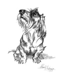 Wire-haired Dachshund Cotton Unisex T-Shirt
