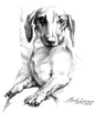 Mini Dachshund Posing in a Chair Stainless Steel Signet Ring by Alena Nikifarava