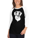 Curious Funny Dachshund Ladies T-Shirt 3/4 Sleeve Raglan Shirt