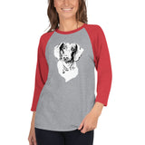 Curious Funny Dachshund Ladies T-Shirt 3/4 Sleeve Raglan Shirt
