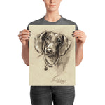 Dachshund Art Print Portrait. Print on  thick and durable matte paper. Doxie-7 Poster.